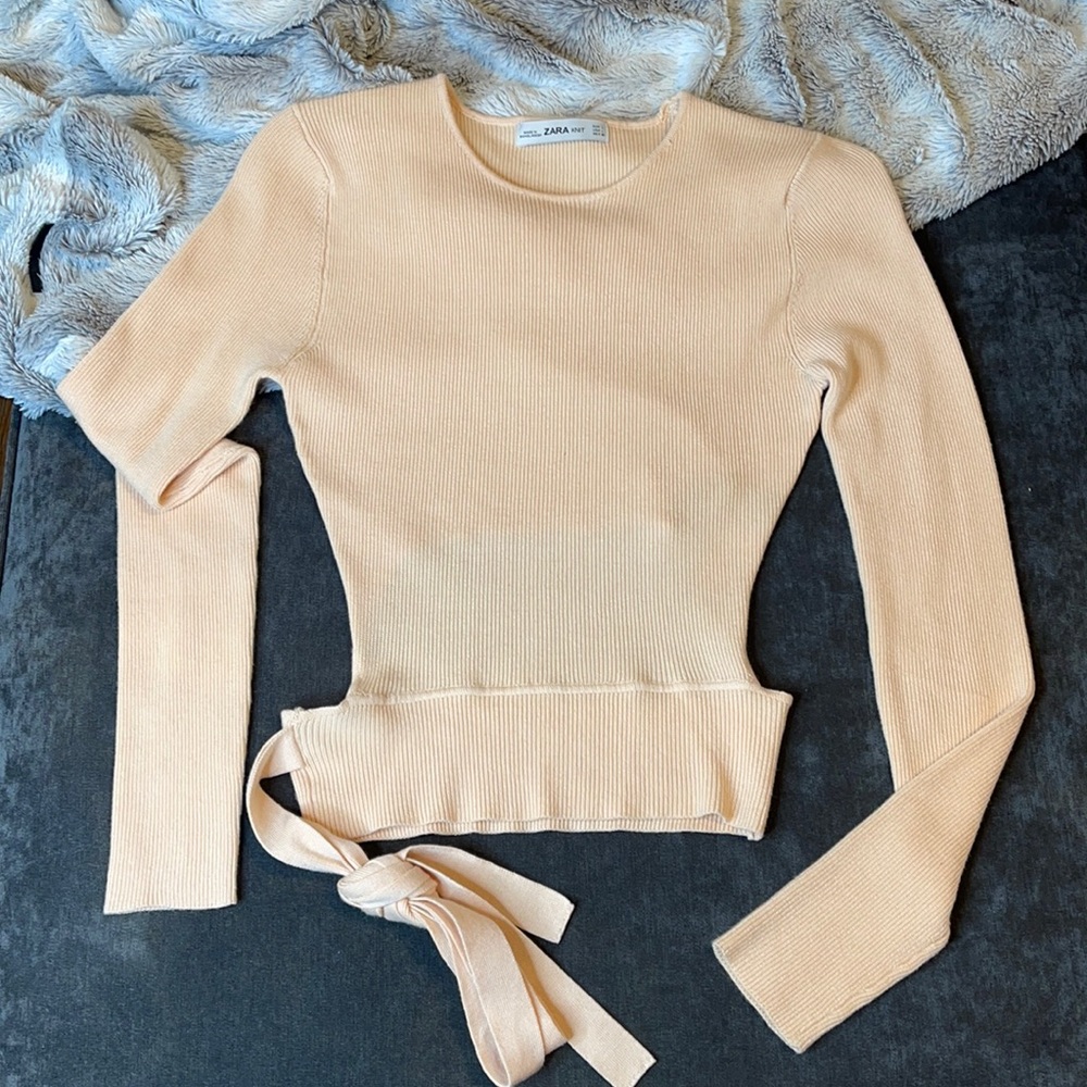ZARA- knit cropped long sleeve w/ back cutout